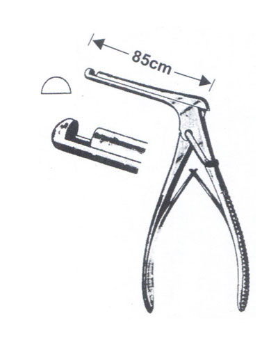 auwebcp/pictures/1289474666_41-274.jpg